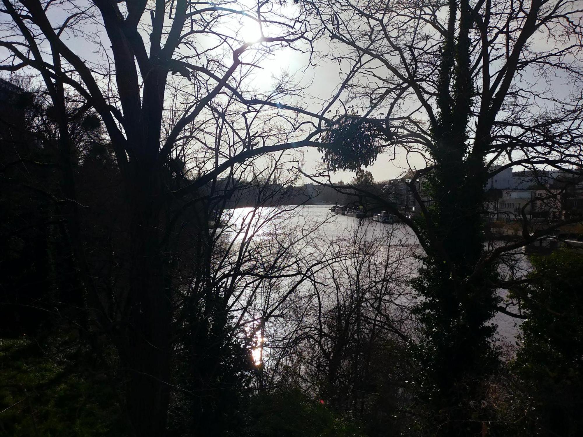L'Arbre Aux Herons - Panoramique Nantes Wifi Ngoại thất bức ảnh